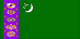 [Country Flag of Turkmenistan]