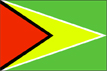 [Country Flag of Guyana]
