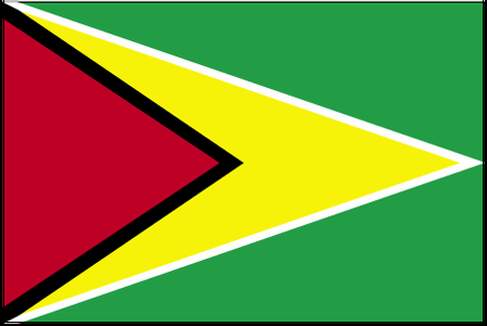 Flag of Guyana