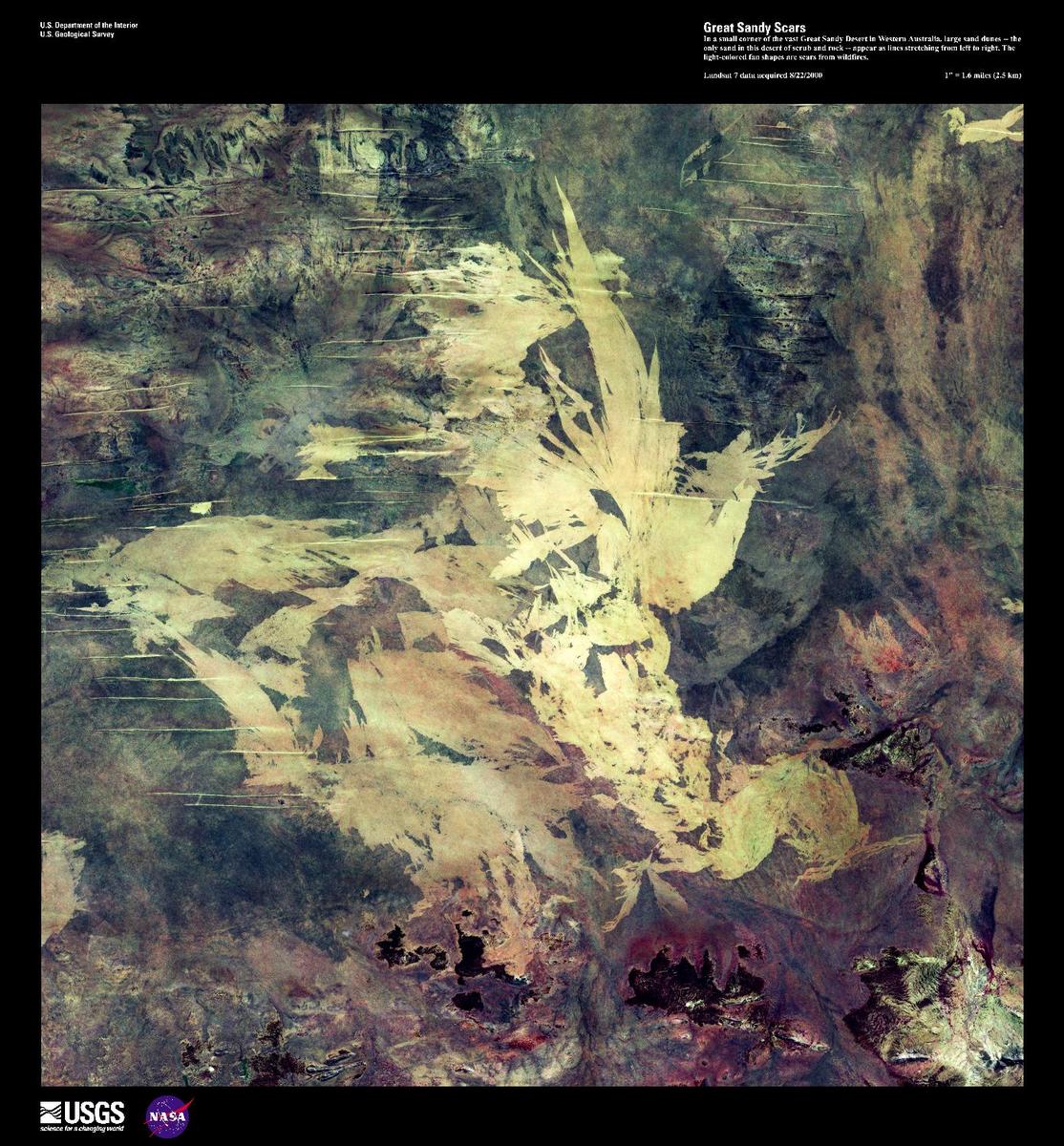 In a small corner of the vast Great Sandy Desert in Western Australia, large sand dunes - the only sand in this desert of scrub and rock - appear as lines stretching from left to right in this enhanced satellite image. The light-colored fan shapes are scars from wildfires. Image courtesy of USGS.
