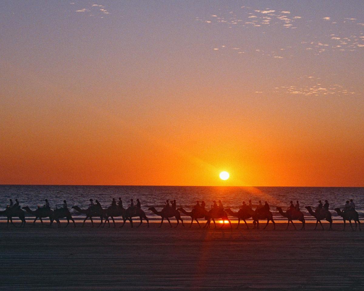 Camel caravan at sunset on Cable Beach, 7 km (4 mi) from Broome, Western Australia. Founded in 1883, Broome's first industry was pearling - carried out by Japanese divers. Today the pearling industry has given way to oyster harvesting, mining, and tourism.
