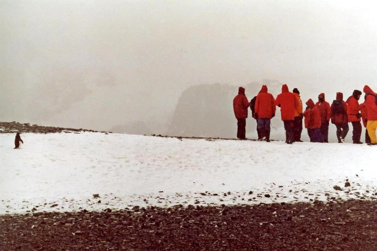 Mid-summer (22 December) on the Antarctic shore: humans huddle against the elements, penguin basks in the "balmy" weather.