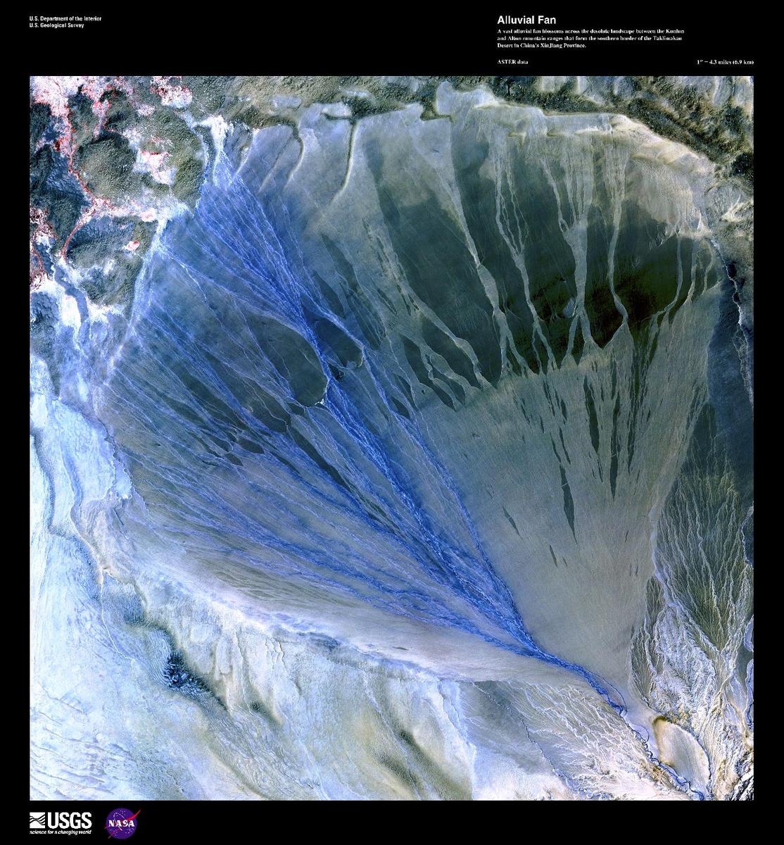 In this dramatic false-color satellite image, a vast alluvial fan blossoms across the Taklimakan Desert between the Kunlun and Altun mountains in Xinjiang Province. The left side of the fan in blue is the active side and displays glacial run-off from the Molcha River; the green side on the right consists of older stream paths no longer in use. Image courtesy of USGS.