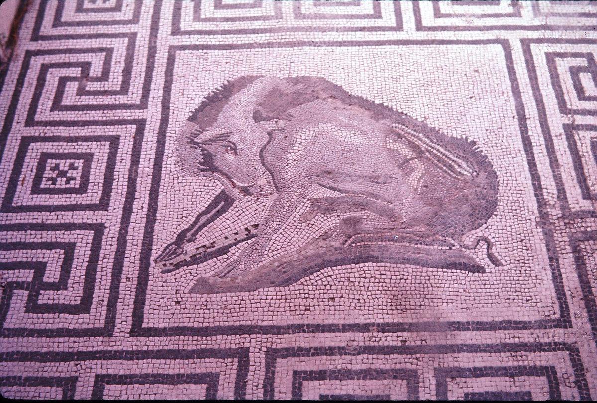 Floor mosaic in Pompeii, the Roman town buried in the eruption of Mt. Vesuvius in A.D. 79. Pompeii is a short distance from the Gulf of Naples and is a UNESCO World Heritage Site.
