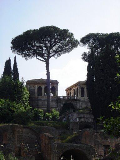 A view of the Forum in Rome.