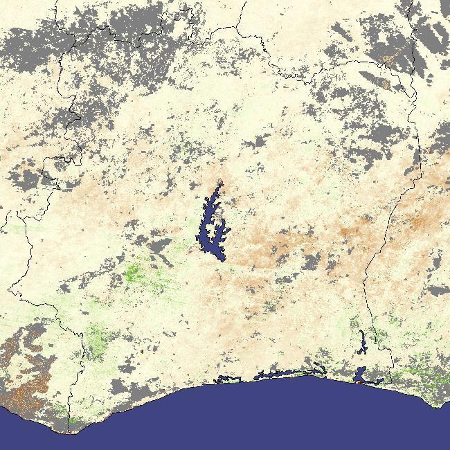 An image of West Africa's Ivory Coast region in 2007 when wet season rains came late. Instead of beginning in February, the rainy season did not start until March, and steady rains did not begin until late March. Though the rain had started to alleviate the drought, vegetation was still depressed in parts of Cote d'Ivoire (Ivory Coast) between 22 March and 6 April 2007, when NASA's Terra satellite captured the data used to make this photo. The image compared vegetation at that time to average conditions recorded since 2000. Areas where plants were growing more slowly or more sparsely than average showed up as brown, while areas where vegetation was denser than average were green. The brown tint dominating the image indicates that plants through most of the country were more sparse than normal. The three major rivers that cross the country from north to south are all but invisible leaving only central Lake Kossou conspicuous as a major water body. Among the crops affected by the lack of rain was West Africa's cocoa crop. About 70 percent of the world's cocoa comes from West Africa and Cote d'Ivoire is a top grower. Image courtesy of NASA.