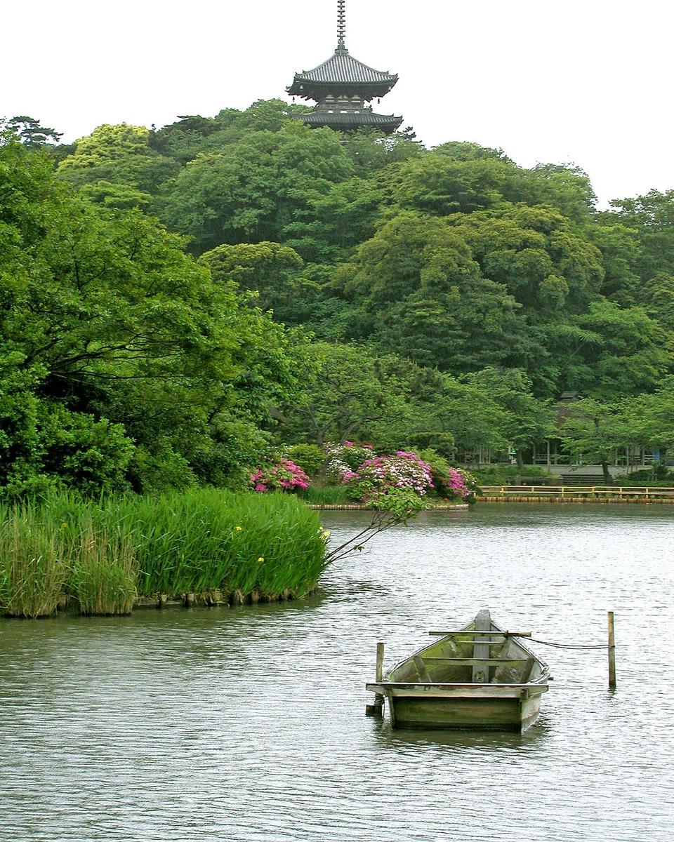 Layers of green foliage along the shoreline of a Japanese garden.