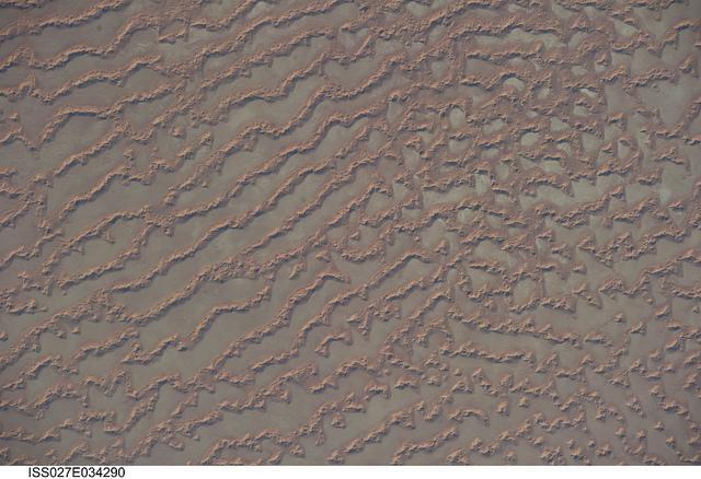 The Ar Rub al Khali (Great Sandy Desert) lies in the southern Arabian Peninsula. Also known as the "Empty Quarter," it is a large region of sand dunes and interdune flats known as a sand sea (or erg). This photo, taken from the International Space Station, highlights a part of the Ar Rub al Khali located close to its southeastern margin in the Sultanate of Oman. Reddish-brown, large, linear sand dunes alternate with blue-gray interdune salt flats known as sabkhas at left. The major trend of the linear dunes is transverse to northwesterly trade winds that originate in Iraq (known as the Shamal winds). Formation of secondary barchan (crescent-shaped) and star dunes (dune crests in several directions originating from a single point, looking somewhat like a starfish from above) on the linear dunes is supported by southwesterly winds that occur during the monsoon season (Khareef winds). The long linear dunes begin to break up into isolated large star dunes to the northeast and east (right). This is likely a result of both wind pattern interactions and changes in the sand supply to the dunes.
The Empty Quarter covers much of the south-central portion of the Arabian Peninsula, and with an area of approximately 660,000 sq km (255,000 sq mi) it is the largest continuous sand desert on Earth. The Empty Quarter's hyperarid climate and the difficulty of travel through the dunes has not encouraged permanent settlement within the region. There is geological and archeological evidence, however, to support cooler and wetter past climates in the region together with human settlement. This evidence includes exposed lakebed sediments, scattered stone tools, and the fossils of hippopotamus, water buffalo, and long-horned cattle. Image courtesy of NASA.