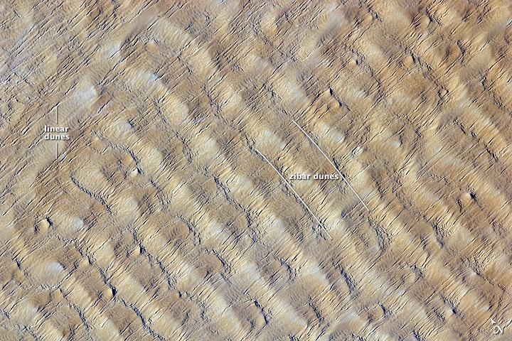 This detailed astronaut photograph highlights sand dunes in the Fachi-Bilma erg (sand sea) in the central-eastern part of the Tenere Desert. The Tenere occupies much of southeastern Niger and is considered to be part of the larger Sahara Desert, which stretches across northern Africa. Much of the Sahara is comprised of ergs; with an area of approximately 150,000 sq km (57,915 sq mi), the Fachi-Bilma is one of the larger sand seas.
Two major types of dunes are visible in the image. Large, roughly north-south oriented transverse dunes - known as zibar dunes - fill the image frame. This type of dune tends to form at roughly right angles to the dominant, northeasterly winds. The dune crests are marked in this image by darker, steeper sand accumulations that cast shadows. The lighter-toned zones between are lower, interdune "flats." The large dunes appear to be highly symmetrical with regard to their crests, which are composed of coarser sediments. A second set of thin linear dunes oriented at roughly right angles to the zibar dunes are formed from finer grains in the same wind field as the larger zibars. Image courtesy of NASA.