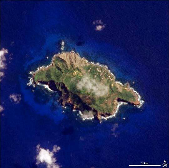 The volcanic island shown here is Pitcairn Island, the island on which the sailors from the British ship HMS Bounty settled after their mutiny in 1790. High cliffs surround most of the island, making access difficult - likely a primary reason the mutineers chose this landfall. The center of the island is green, covered with a dense forest. The island's only inhabitants (descendants of the Bounty mutineers and their Tahitian companions) live in Adamstown, the bright spots near the northeast shore. A faint semi-circle around the top of the island traces out an ancient crater, evidence of Pitcairn's volcanic past. This image of Pitcairn was taken on 5 April 2006. Photo courtesy of NASA.