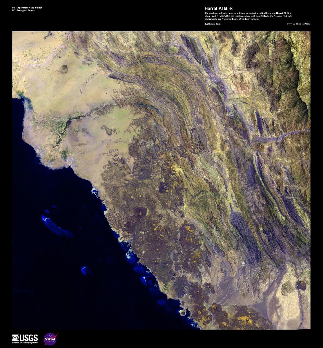 Dark-colored volcanic cones sprout from an ancient lava field in this high-resolution satellite photo. The field, known as Harrat Al Birk, covers 1,800 sq km (700 sq mi) and is the only volcanic field along Saudi Arabia's Red Sea coastline. However, many such lava fields dot the Arabian Peninsula and can range in age from 2 million to 30 million years old. Image courtesy of USGS.