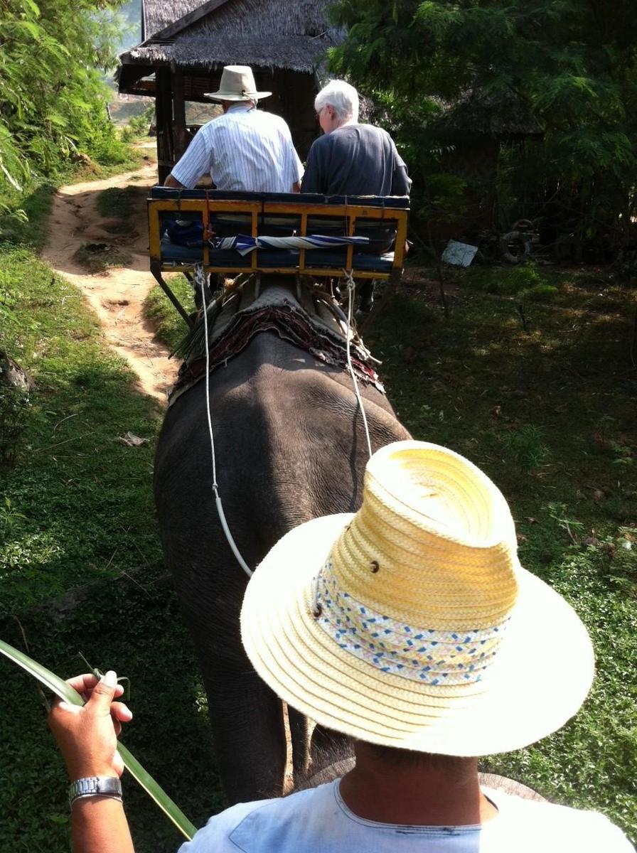 Riding elephants on the island of Ko Samui.