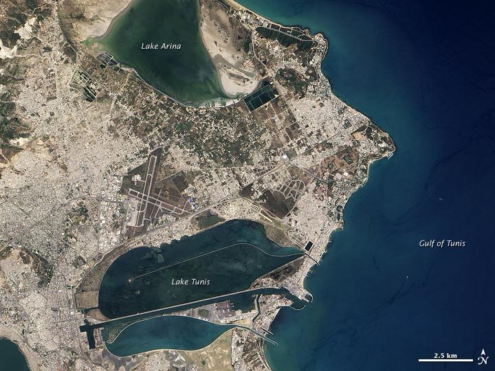 "Carthage is situated at the inmost point of a gulf into which it protrudes on a strip of land, almost entirely surrounded on one side by the sea and on the other by a lake," observed the Greek historian Polybius in the second century BC. He pointed out some of the features that made Carthage attractive for human occupation for centuries. Today, Carthage is a suburb of Tunis, the capital city of northern Africa's Tunisia. Although cityscape covers most of the ancient port city, the area's attractions to ancient mariners remain apparent.
In the east, Carthage narrows to a point that stretches into the Gulf of Tunis. From that point, skinny strips of land extend toward the northwest and southwest, both strips enclosing water bodies. North of Carthage is Sebkhet Arina, a shallow evaporative lake. Rocky outcrops connected by sand separate this shallow lake from the Gulf of Tunis. South of Carthage is Lake Tunis, a water body actively modified and maintained by humans over thousands of years.
Skilled merchants and mariners, the ancient Phoenicians founded Carthage probably sometime between 817 and 748 BC. Romans destroyed the city in the Punic Wars around 146 BC, but eventually rebuilt in the same area.This image courtesy of NASA.