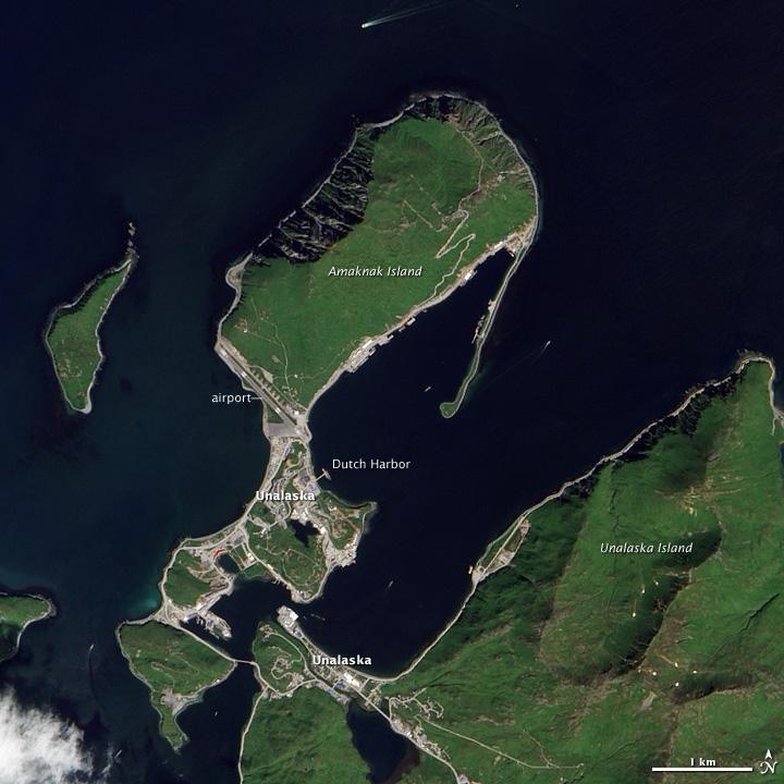 This natural-color satellite image shows Unalaska and Amaknak Islands, which are part of the Aleutian Island chain that separates the North Pacific Ocean from the Bering Sea. The city of Unalaska is split between the two islands: the northern part, where Dutch Harbor is located, is connected to the southern part by a bridge. The wakes of several ships are visible in the surrounding waters. Image courtesy of NASA.