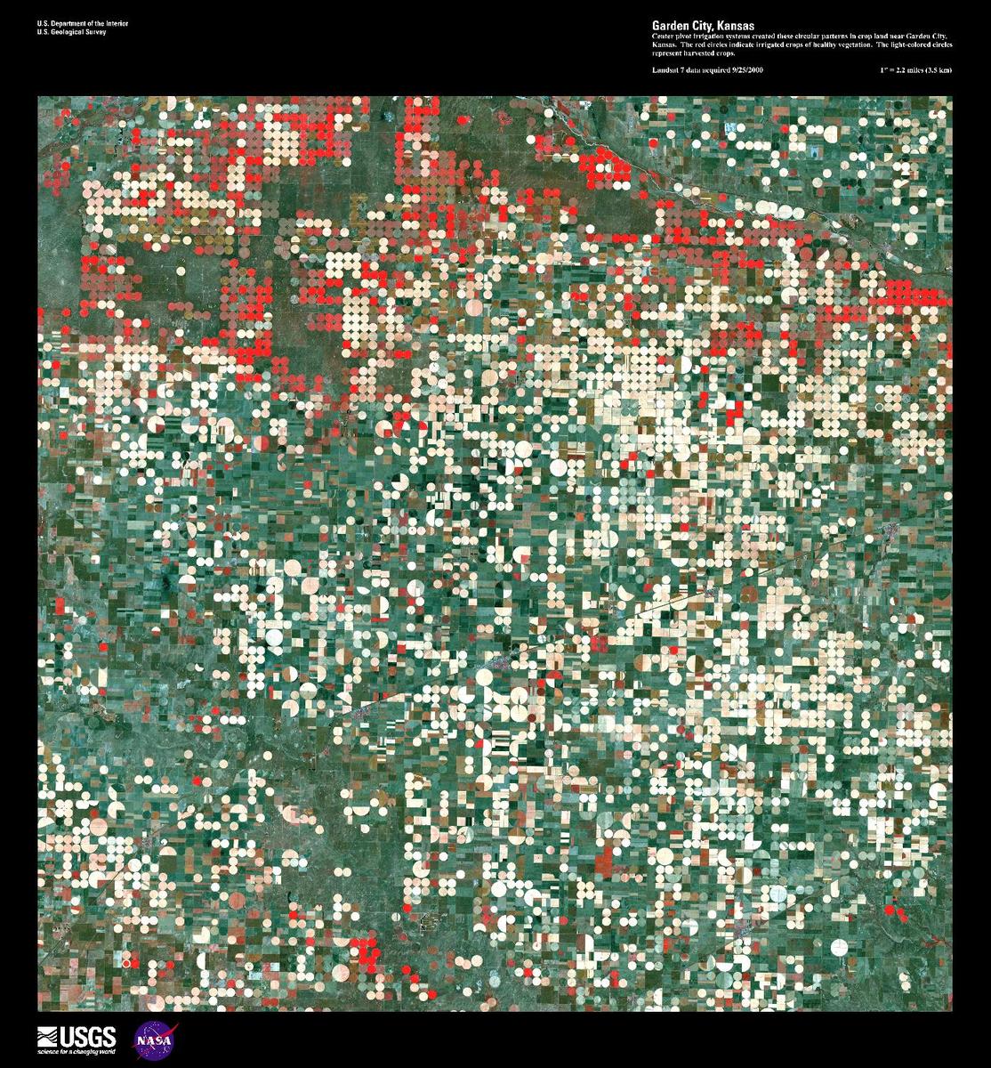 Center pivot irrigation systems created these circular patterns in crop land near Garden City, Kansas. In this false-color satellite image, the red circles indicate irrigated crops of healthy vegetation. The light-colored circles represent harvested crops. Garden City, located just off the top edge of the image, is in Finney County in southwestern Kansas. The Arkansas River flows eastward across the upper right corner of the image. This part of western Kansas used to be short grass prairie, but has now given way to irrigated agriculture of corn, wheat, and sorghum. The water is drawn from the Ogallala Aquifer that underlies an area from Wyoming to Texas. Image courtesy of USGS.