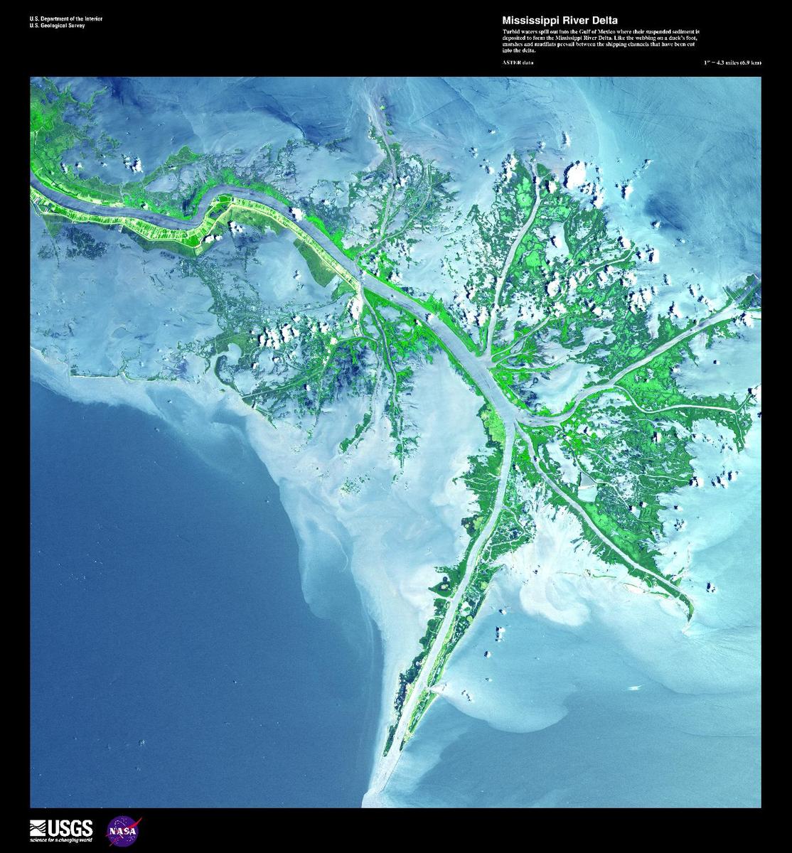 Turbid waters from the third-longest river system in the world spill out into the Gulf of Mexico where their suspended sediment is deposited to form the Mississippi River Delta. Like the webbing on a duck's foot, marshes and mudflats in this 2001 satellite photo prevail between the shipping channels that have been cut into the delta. The deltaic progression has advanced South Louisiana's coastline 25-80 km (15-50 mi) over 5,000 years. In 2005, Hurricanes Rita and Katrina destroyed much of the delta and rising sea levels have increased erosion. Image courtesy of USGS.
