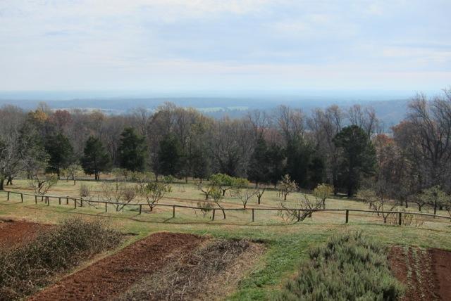 A section of the plantation's prolific vegetable and herb gardens and apple, peach, cherry, and several other orchards overlooking a view of Charlottesville, Virginia.