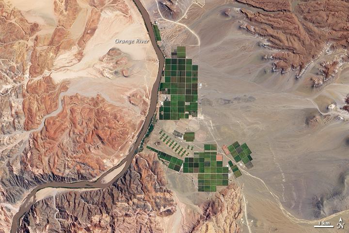The Orange River serves as part of the border between Namibia and the Republic of South Africa. Along the banks of this river, roughly 100 km (60 mi) inland from where the river empties into the Atlantic Ocean, irrigation projects take advantage of water from the river and soils from the floodplains to grow produce, turning parts of a normally earth-toned landscape emerald green. A network of bright rectangles of varying shades of green contrasts with surroundings of gray, beige, tan, and rust in this true-color satellite image. Immediately south of a large collection of irrigated plots, faint beige circles reveal center-pivot irrigation fields, apparently allowed to go fallow. This Namibian irrigation project occurs along a section of the Orange River where the waterway turns north on its general westward path to the sea, not far from the eastern margin of the Namib Desert. Due to local climatic conditions, grapes from Namibia, the primary agricultural product of this area, are often ready for market two to three weeks before those of the main grape-producing regions of South Africa's Cape. Image courtesy of NASA.