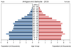 population pyramid