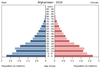 population pyramid