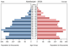 population pyramid