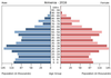 population pyramid