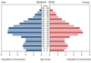 population pyramid
