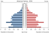 population pyramid