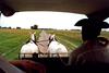 A Gaucho (Argentine cowboy) driving a carriage across the pampas. The pampas are a vast, fertile lowland plain found mostly in Argentina, but extending into Uruguay and southernmost Brazil. Vegetation is predominantly composed of grasses; trees are rare. Important for cattle ranching and farming, the region contains rich topsoils that in places are up to 300 m (1,000 ft) in depth.