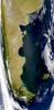 Summertime (January) satellite image of the southern cone of South America showing green vegetation on the Andes Mountains of south Chile, the Patagonian plains of south Argentina, and the Falkland Islands. The bright green areas are algal blooms. Photo courtesy of NASA.
