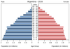 population pyramid