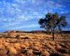 Incipient sunset in the Outback.