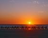 Camel caravan at sunset on Cable Beach, 7 km (4 mi) from Broome, Western Australia. Founded in 1883, Broome's first industry was pearling - carried out by Japanese divers. Today the pearling industry has given way to oyster harvesting, mining, and tourism.