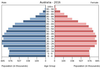 population pyramid