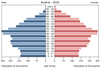population pyramid
