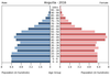 population pyramid