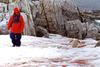 Tourist (angular biped) on left, resident (Gentoo penguin) on right.