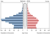 population pyramid