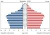 population pyramid