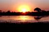Fiery sunset on the Okavango Delta (also called the Okavango Swamp), the world's largest inland delta. The Okavango River empties as a swamp in a basin of the Kalahari Desert where, through the processes of evaporation and transpiration (water given off by plants), it disappears. Most of the islands in the delta began as termite mounds. The delta is home for a wide variety of birds and animals.