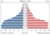 population pyramid
