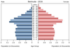 population pyramid