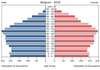 population pyramid