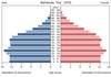 population pyramid