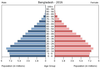 population pyramid