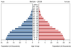 population pyramid