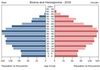 population pyramid
