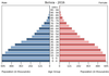 population pyramid