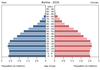 population pyramid