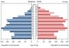 population pyramid